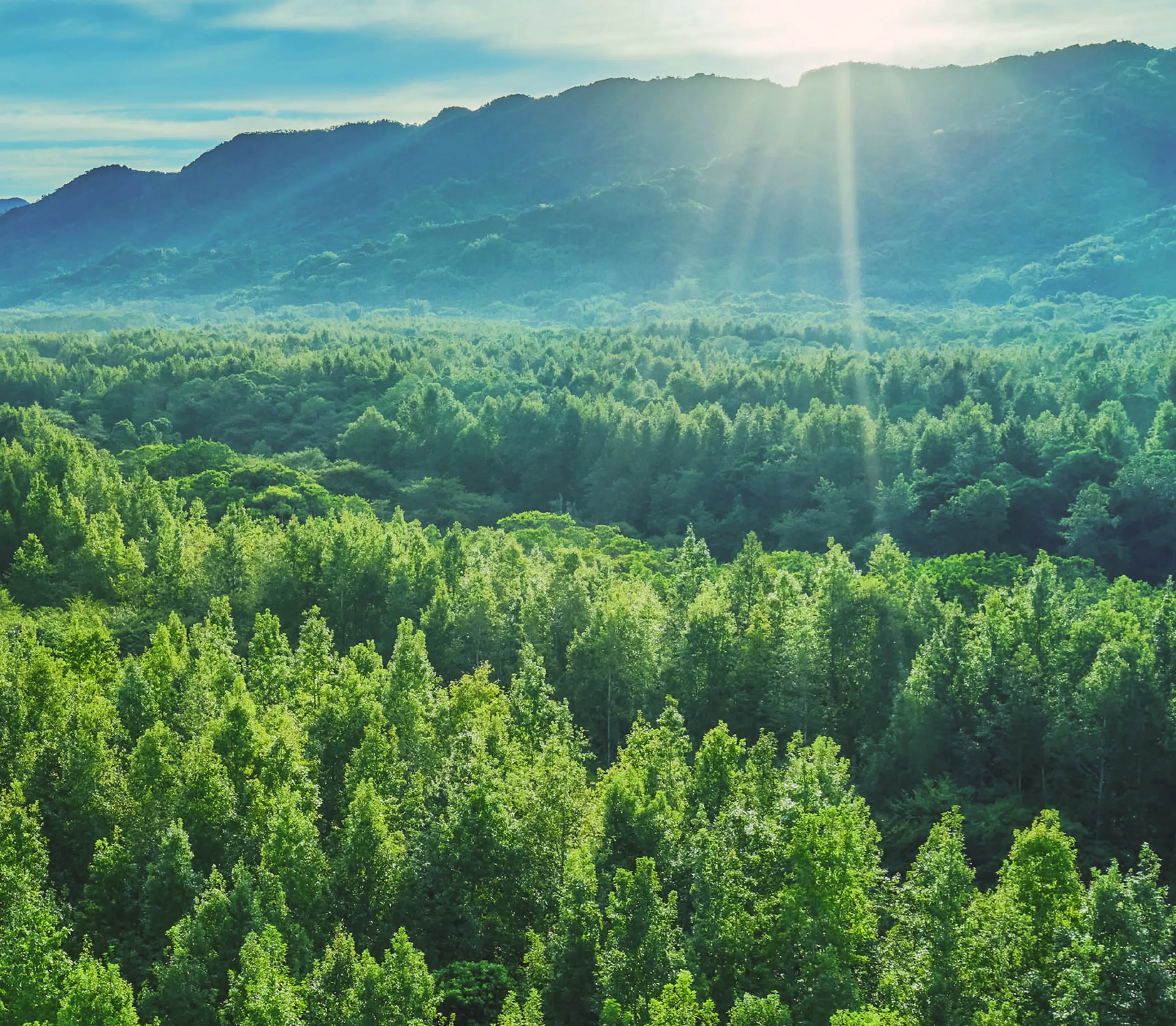 Искренняя забота